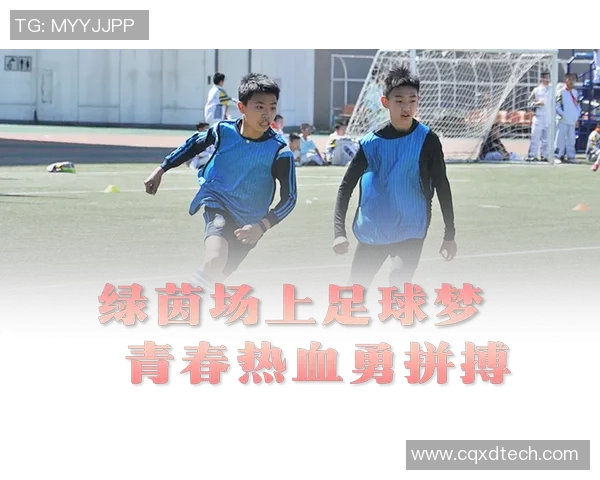 追逐梦想的少年足球梦从校园到绿茵场的奋斗历程