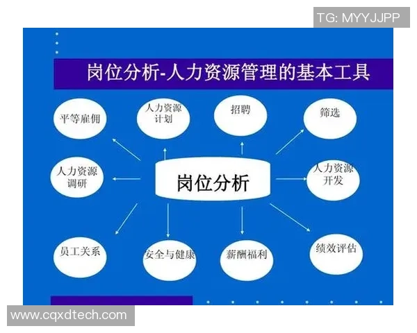 上海乒乓球队总决赛表现分析与状态评估的深度解读