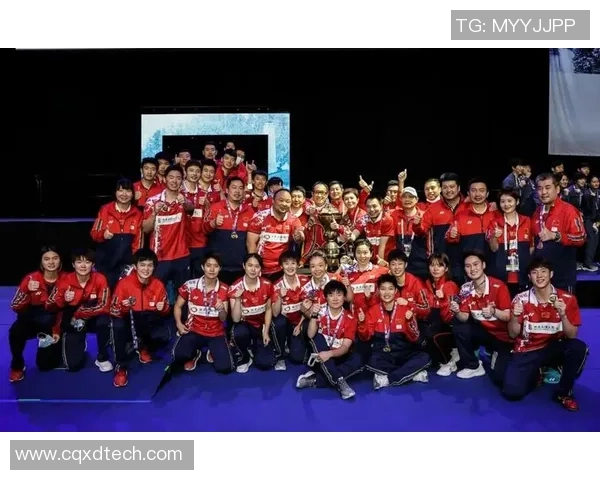 武汉羽毛球队逆袭总决赛的传奇旅程与背后故事揭秘