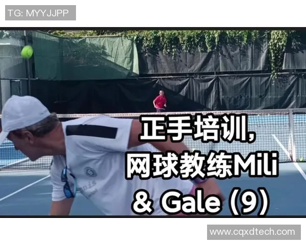 深圳网球队技术表现深度分析与数据解读探讨 深圳网球队技术表现深度分析与数据解读探讨